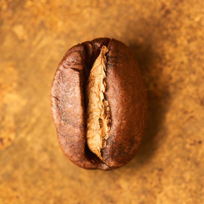Equador-CruzLoma-Sidra_Bohne-roasted_13-02-2025_Web_800x800