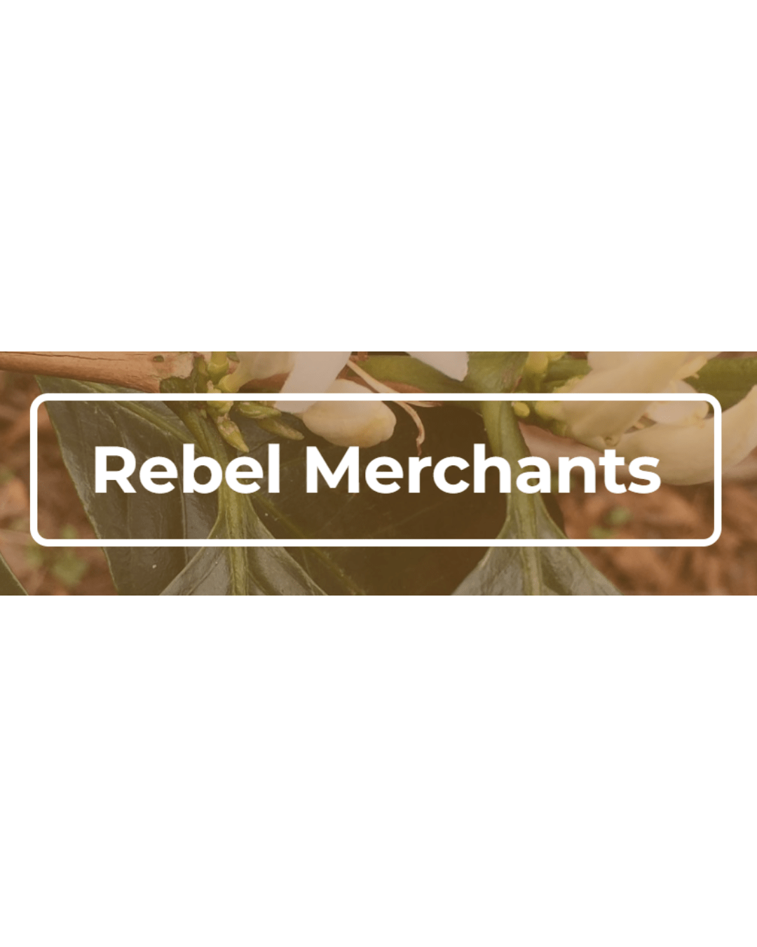 Rebel Merchants Deutsche Röstergilde