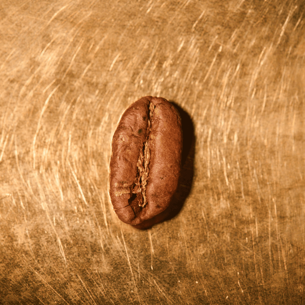 einzeln Blue Mountain Kaffeebohne gerstet_800x800